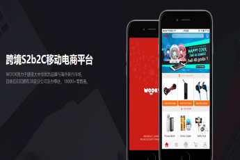 许龙华:一个APP实现印尼电商梦